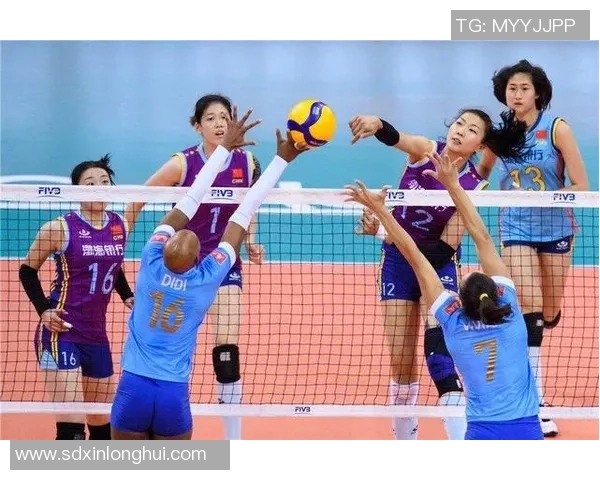 2026排球战术排行榜:深圳排球队位居第6名